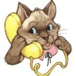 Cat Image