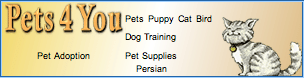 Pets4You